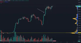 Bitcoin a jeho reakcia na transakciu vlády USA