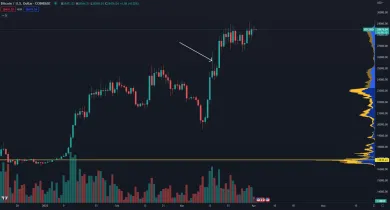 Bitcoin a jeho reakcia na transakciu vlády USA