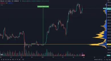Bitcoin a jeho zisk v roku 2023