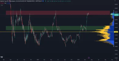 Bitcoin dominancia narazila na rezistenciu