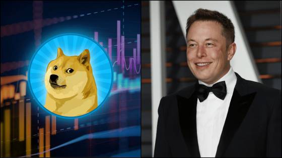 Elon Musk manipuluje dogecoin.