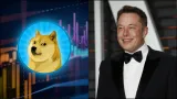 Elon Musk manipuluje dogecoin.