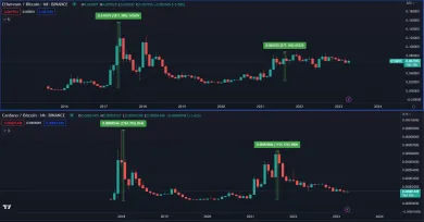 Kryptomeny ako cardano a ethereum prekonávajú bitcoin.