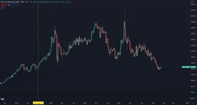 Paládium v poslednom roku klesá