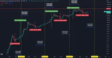 Reakcia bitcoinu na halving