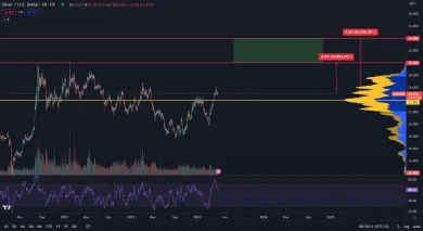 Striebro na ceste k 30 dolárom