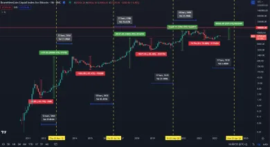 Dlhodobá výkonnosť bitcoinu.