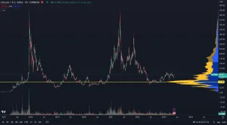 Litecoin neprekonal historické maximum.