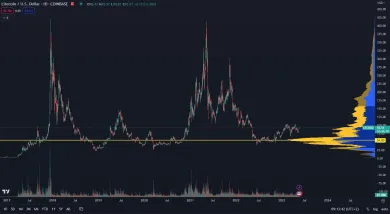 Litecoin neprekonal historické maximum.
