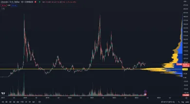 Litecoin neprekonal nové historické maximum