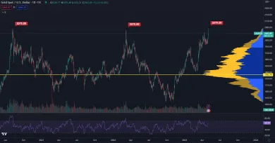 Zlato sformovalo nové historické maximum