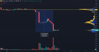 Binance coin cenový pád.