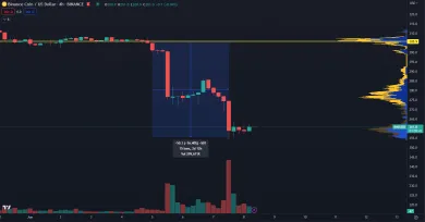 Binance coin cenový pád.