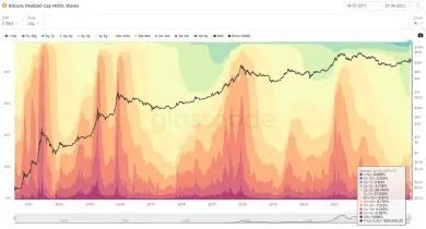 Bitcoin: rozdelenie držiteľov.