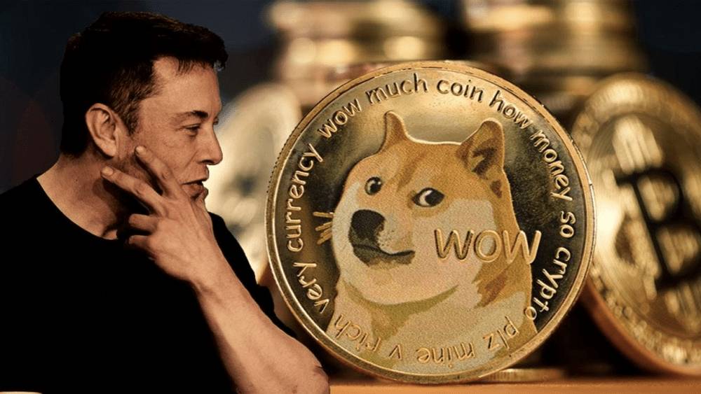 Elon Musk a Dogecoin