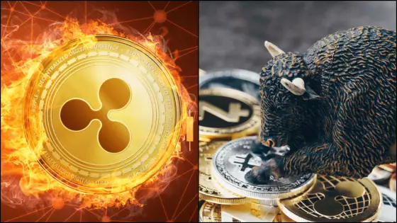 XRP má dobrú cenovú výkonnosť.