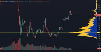 Bitcoin: dominancia prudko klesá.