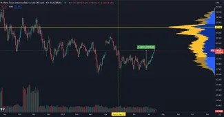 Cena ropy prekonala 10 týždňové maximum.