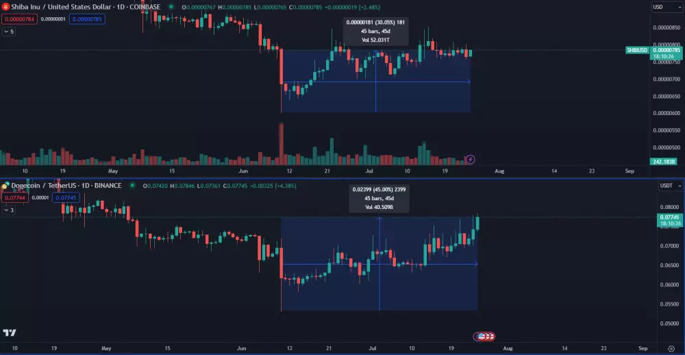 Dogecoin a Shiba Inu prudko rastú.