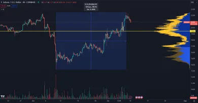 Solana narástla o 70 %.