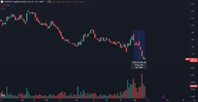 Akcie Country Garden Holdings