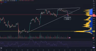 Bitcoin ukončil polročný rast