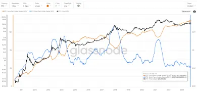Bitcoin: dlhodobí verzus krátkodobí držitelia