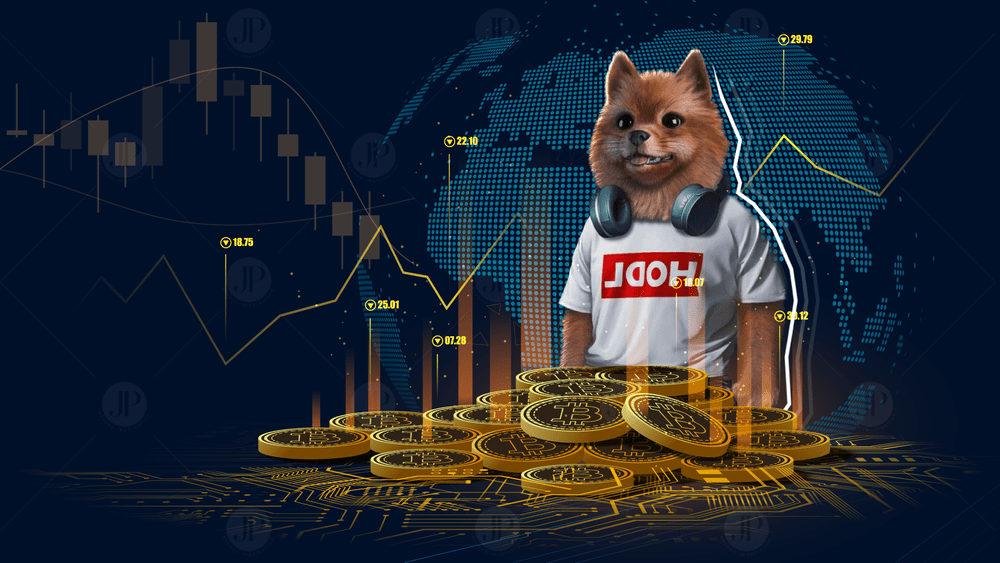 Kryptomena Pomerdoge patrí k top kryptomenám.