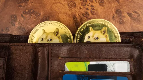 Dogecoin sa prepadol od ATH o 90 %