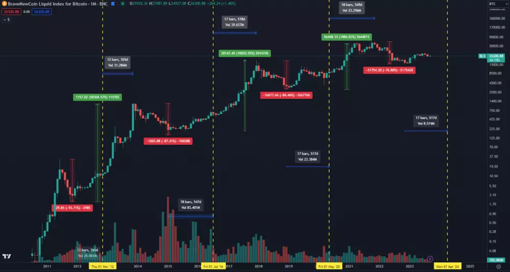 Bitcoin: halvingové cykly