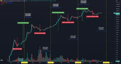 Bitcoin: halvingové cykly