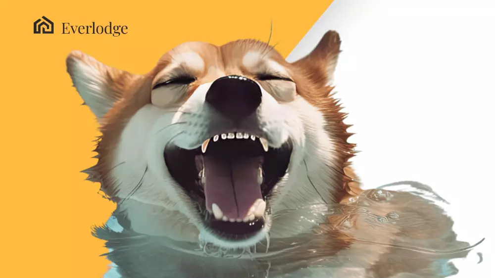 Aká budúcnosť čaká Shiba Inu?