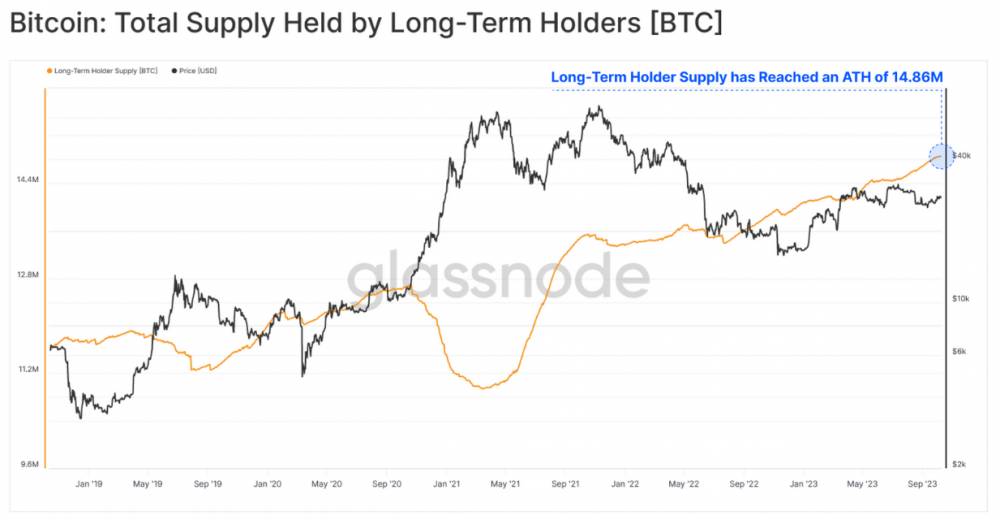 Bitcoin: dlhodobí držitelia