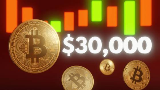 Bitcoin konečne prekonal 30 000 dolárov