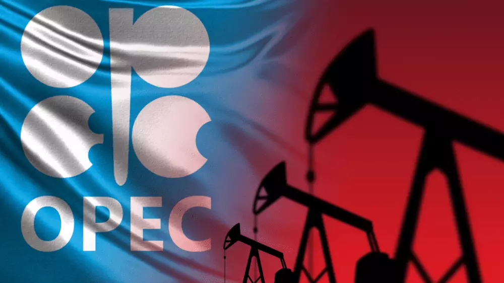 OPEC sa vyjadril o dopyte po rope