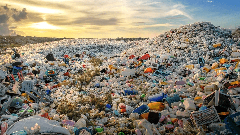 Slovensko potravinami plytvá