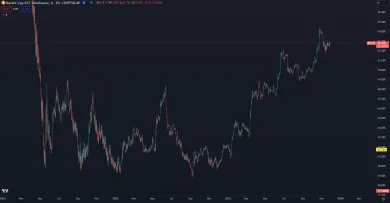 Bitcoinová dominancia