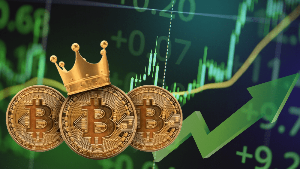 Kryptomeny skutočný rast ešte len čaká