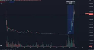 Meme coin Bonk nezastaviteľne rastie