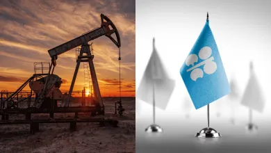 Stretnutie OPEC rozhodne o vývoji cien ropy