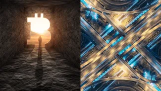 Bitcoin bude dominovať alebo vznikne multichain rôznych kryptomien