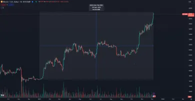 Bitcoin prerazil 40 000 dolárov