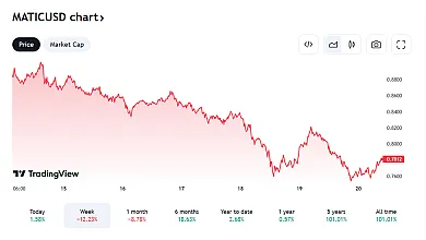 Ďalší vývoj Polygon