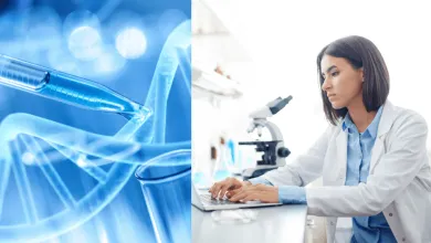 Do oblasti DeSci vstupuje známy CZ