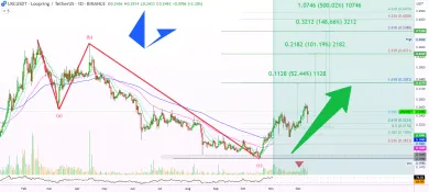 Kryptomena Loopring má údajne stúpnuť o 500 percent