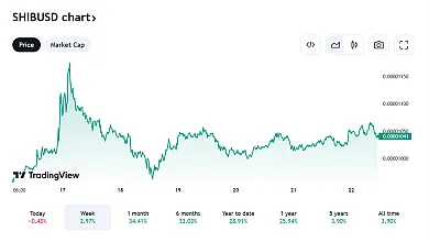 Pohľad na Shiba Inu