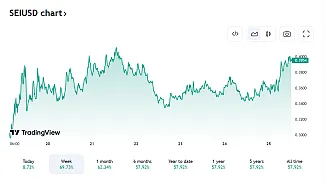 Pohľad na vývoj SEI