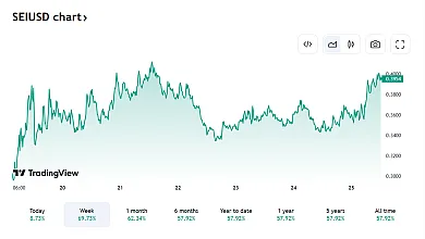 Pohľad na vývoj SEI