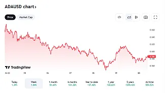 Posledný vývoj Cardano