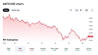 Posledný vývoj Polygon